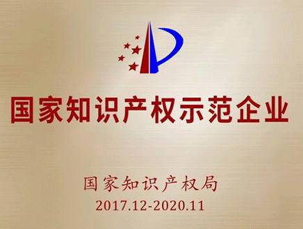 2017国家知识产权示范企业